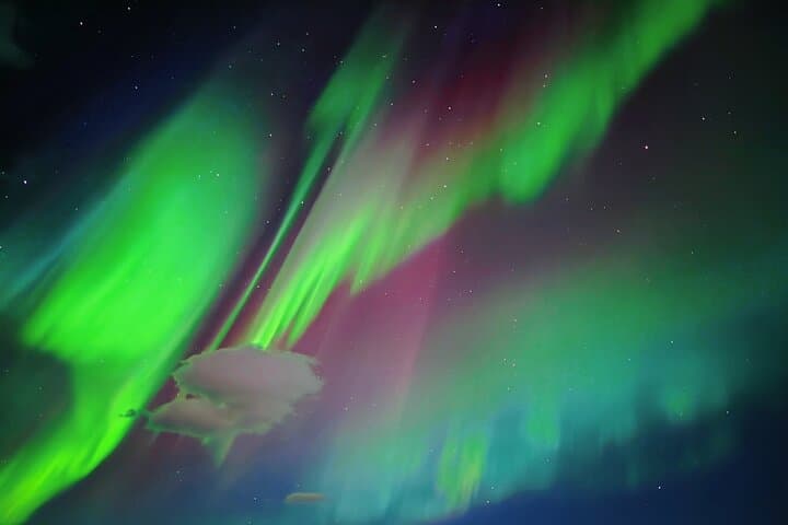 Aurora Viewing Near Rovaniemi: Autumn Northern Lights Campfire Experience photo 2
