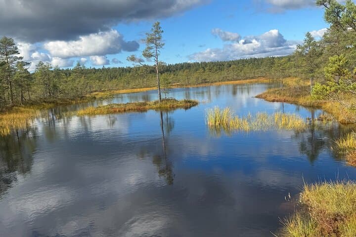 viru-bog-kolga-manor-jagala-waterfall-estonia-day-tour photo 2