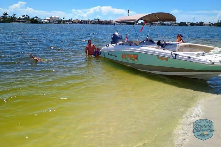 Clearwater Coastal Chill: 2-Hour Private Dolphin Cruise & Sandbar Swim photo 3