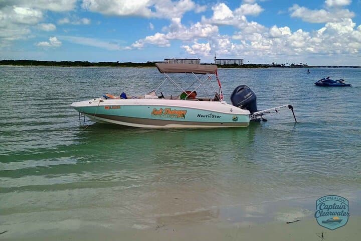 Clearwater Coastal Chill: 2-Hour Private Dolphin Cruise & Sandbar Swim