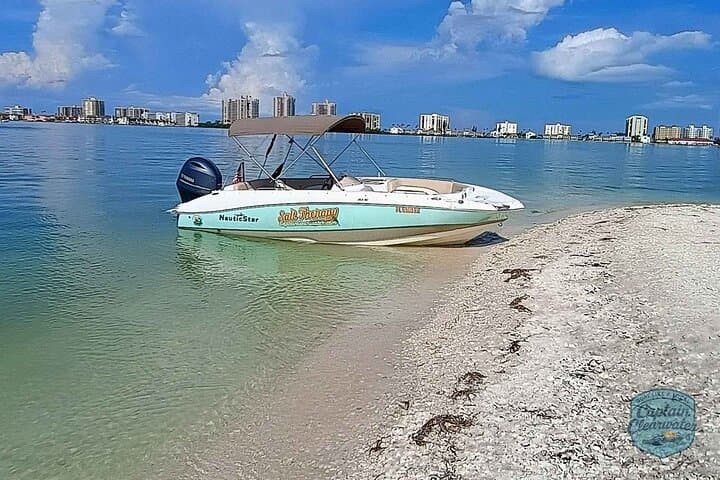 Clearwater Coastal Chill: 2-Hour Private Dolphin Cruise & Sandbar Swim photo 5