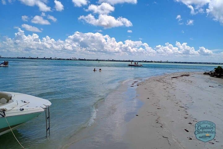 Clearwater Coastal Chill: 2-Hour Private Dolphin Cruise & Sandbar Swim photo 6