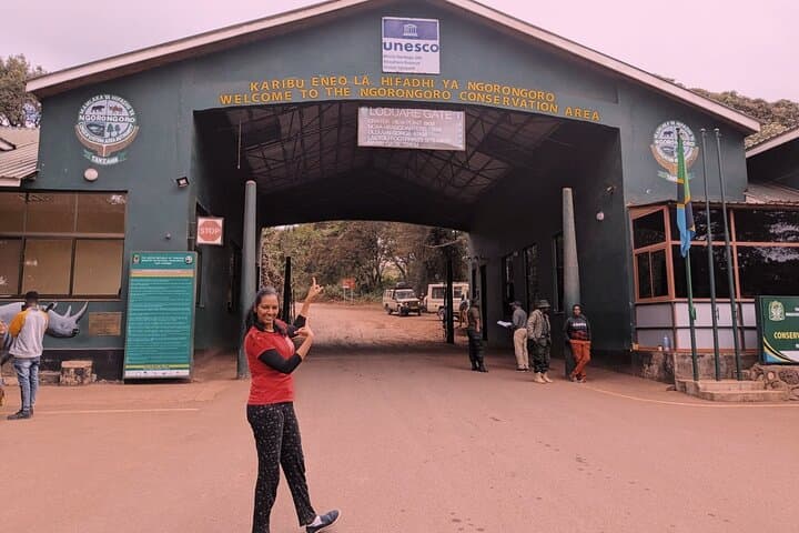 Inside Ngorongoro Crater: Private Day Safari from Arusha