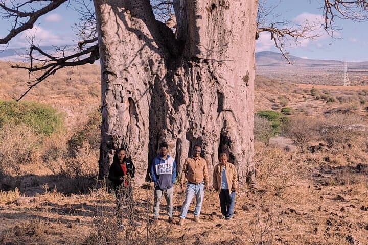 Inside Ngorongoro Crater: Private Day Safari from Arusha photo 2