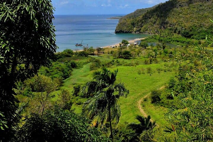 Saint Lucia Agrotourism Tour: Roseau Valley Farm Experience & Rum Tasting photo 6