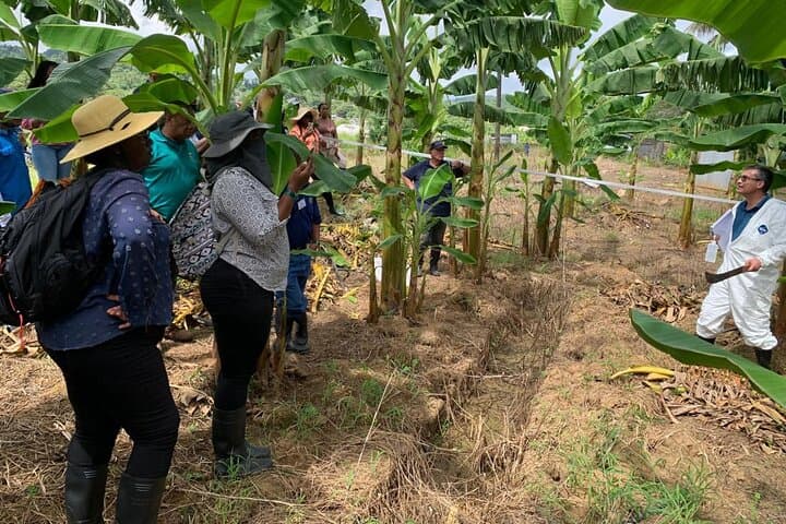 Saint Lucia Agrotourism Tour: Roseau Valley Farm Experience & Rum Tasting