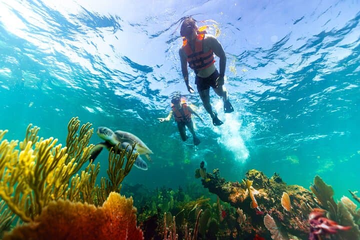 Private Puerto Morelos Snorkel and Tequila Tasting: VIP Reef Experience photo 6