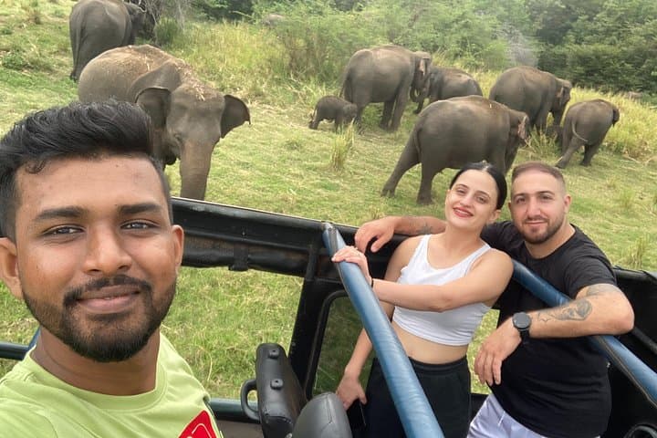Minneriya Elephant Safari: Jeep Wildlife-Watching at Sri Lanka’s Reservoirs