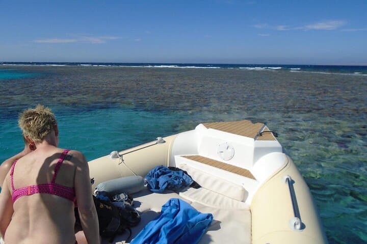Hurghada Private Dolphin Watching and Snorkeling Adventure on the Red Sea photo 5