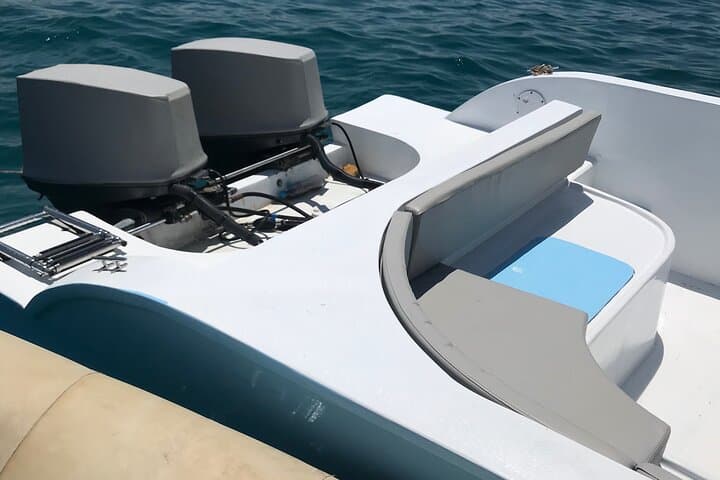 Hurghada Private Dolphin Watching and Snorkeling Adventure on the Red Sea photo 6