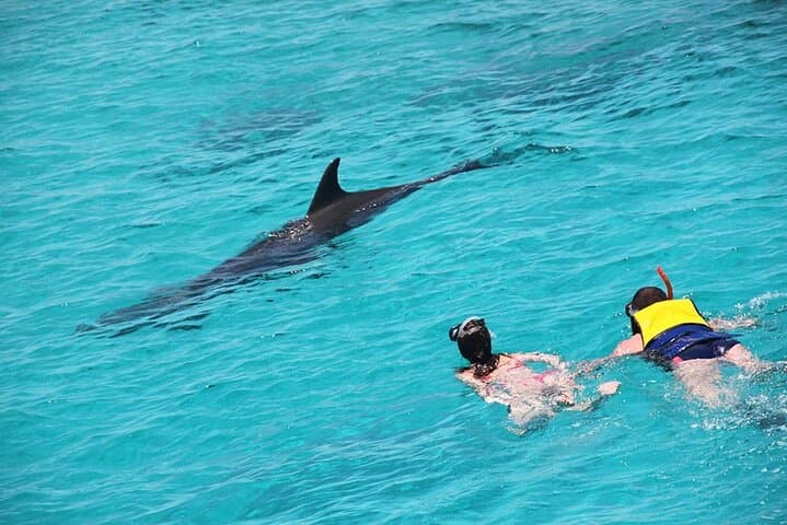 VIP Dolphin House Tour from Hurghada — Snorkel Wild Dolphins & Giftun Island Day Trip photo 2