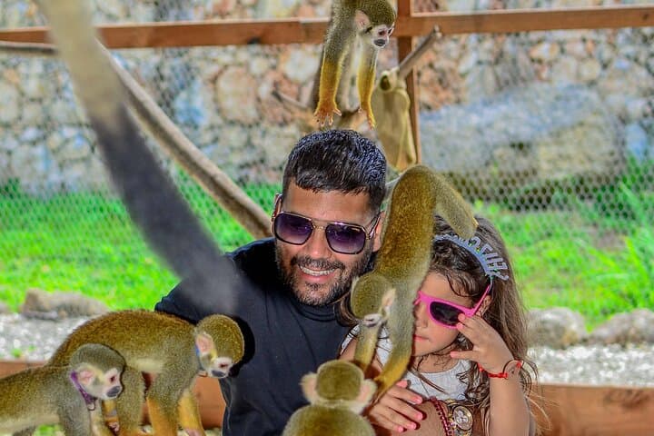 Punta Cana Monkey Sanctuary, Cenote & Plantation Tour — Coffee, Monkeys & a Cool Swim