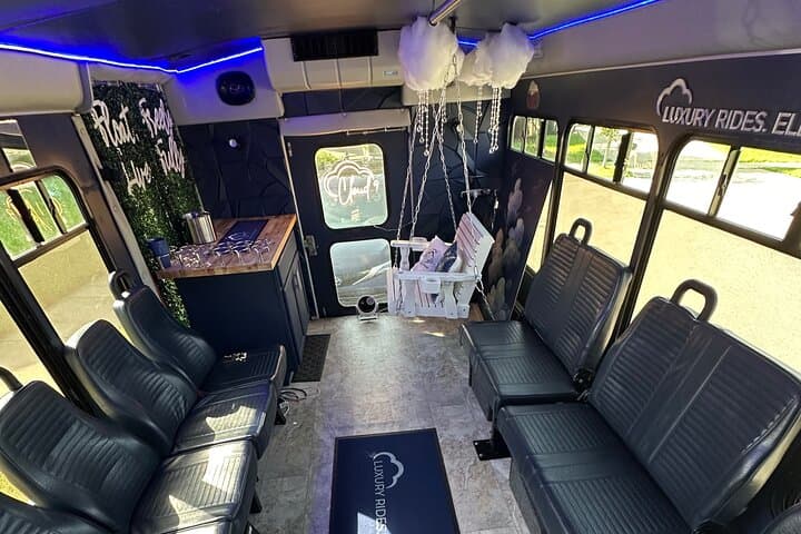 Cloud 9 Party Bus Rental in Lexington: BYOB 12-Passenger Private Ride photo 4