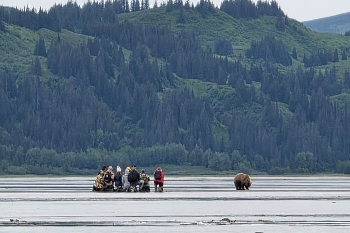 Chinitna Bay Bear Viewing Flight: Private Bush Plane Tour from Talkeetna photo 4