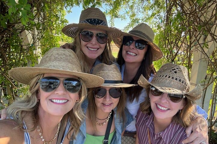 Private Fredericksburg Wine Tour - 6-Hour Chauffeured Tasting Experience