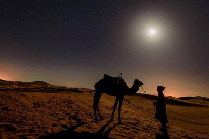 Doha Night Desert Safari: Stargazing, Camel Ride & Dune Bashing photo 3