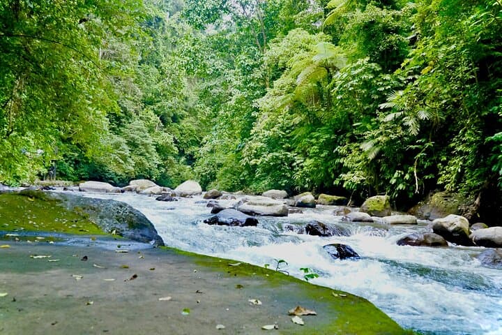 Bali Adventure Combo: ATV Quad Bike & Ayung River Rafting in Ubud photo 6