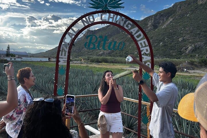 Mictlan Domains: Oaxaca Day Tour to Tule Tree, Mitla, Hierve el Agua & Mezcal
