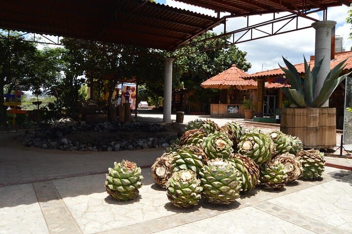 Mictlan Domains: Oaxaca Day Tour to Tule Tree, Mitla, Hierve el Agua & Mezcal photo 4