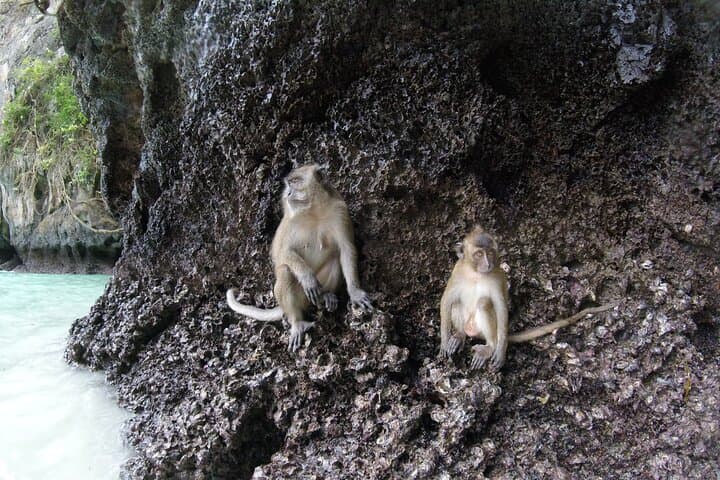 Private Koh Phi Phi Longtail Boat Tour: Maya Bay, Viking Cave & Snorkel Stops photo 2