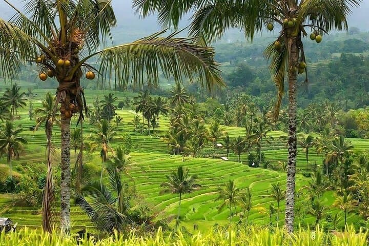 Ubud Art Village, Tegenungan Waterfall & Goa Gajah Day Tour — Rice Terraces and Jungle Swing photo 2