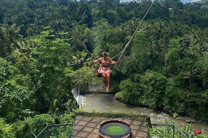 Ubud Art Village, Tegenungan Waterfall & Goa Gajah Day Tour — Rice Terraces and Jungle Swing photo 3