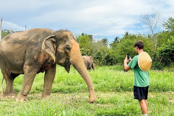 Coconut Culture and Ethical Elephants: Sustainable Full-Day in Koh Samui