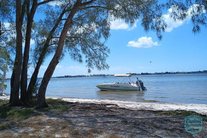 Explore Clearwater Beach by Private Boat: Dolphins, Sandbars & Island Coves photo 5