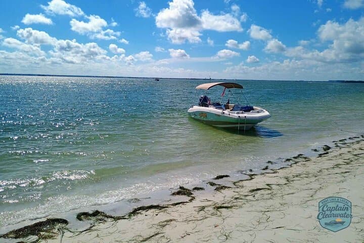 Explore Clearwater Beach by Private Boat: Dolphins, Sandbars & Island Coves