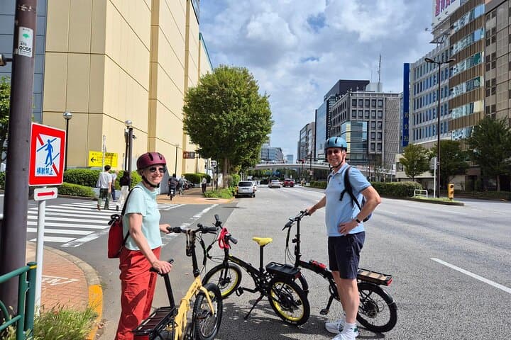 Tokyo Gardens E-Bike Tour with Pro Gardener — Half-Day Tailored Ride