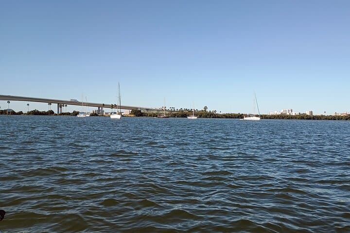 Exploring Clearwater’s Gulf Coast: Private 5-Hour Boat Charter with Dolphins & Island Hops photo 2