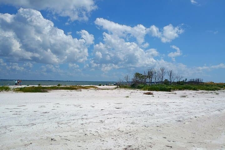 Exploring Clearwater’s Gulf Coast: Private 5-Hour Boat Charter with Dolphins & Island Hops photo 5