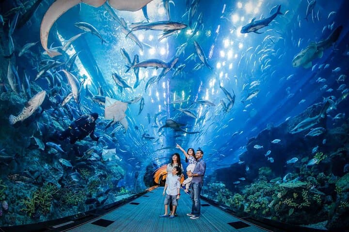Istanbul Aquarium Tour with Hotel Transfer — Easy Access to Europe's Thematic Marine World