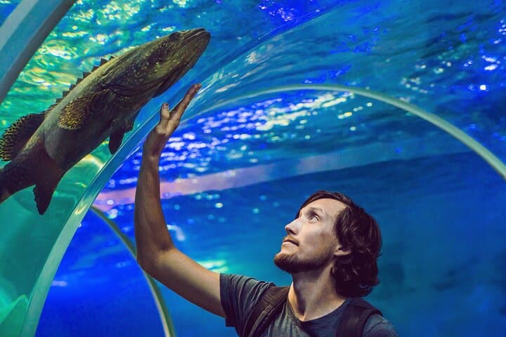 Istanbul Aquarium: 80-Meter Underwater Tunnel & Comfortable Hotel Transfers photo 3