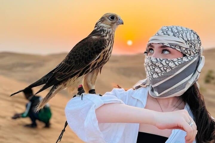 Dubai Red Dune Morning Safari with Camel Ride & Sandboarding