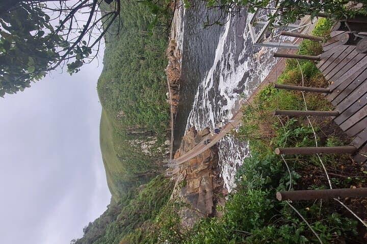 Garden Route 6-Day Surf & Adventure Tour from Jeffreys Bay photo 5