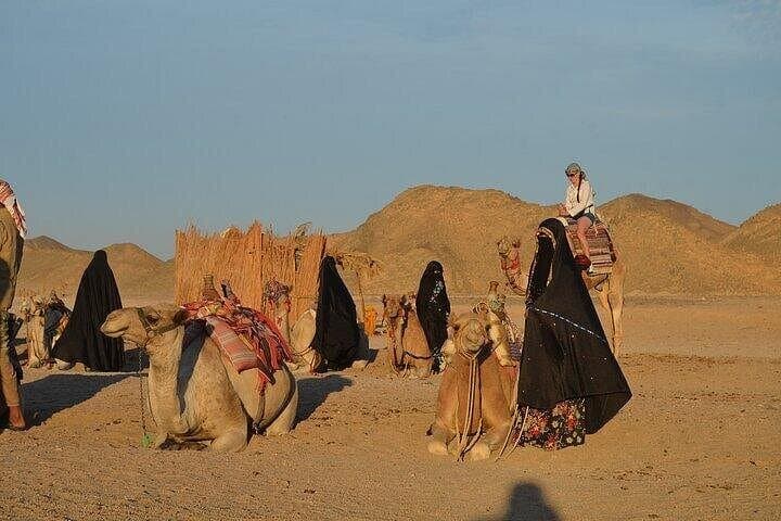 Marsa Alam Desert Safari: Quad Biking, Camel Ride & Bedouin Show photo 3
