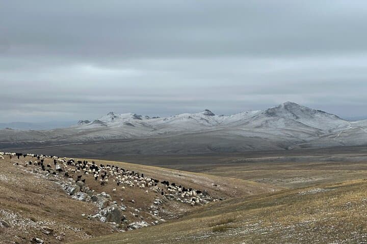 Winter Nomadic Hospitality: 2-Day Ger Stay at Elsen Tasarkhai from Ulaanbaatar photo 2