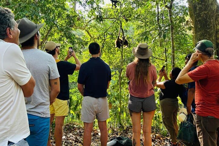 Punta Laguna Spider Monkey Reserve: Mayan Ceremony, Canoe & Cenote Tour photo 3