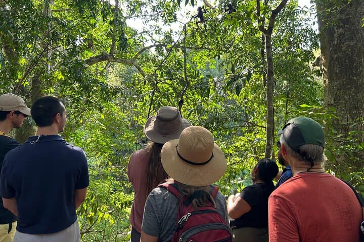 Punta Laguna Spider Monkey Reserve: Mayan Ceremony, Canoe & Cenote Tour photo 5