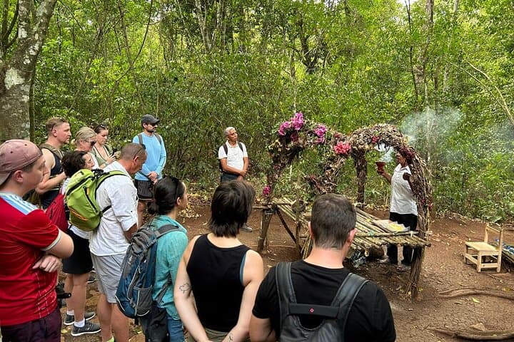 Punta Laguna Spider Monkey Reserve: Mayan Ceremony, Canoe & Cenote Tour photo 6