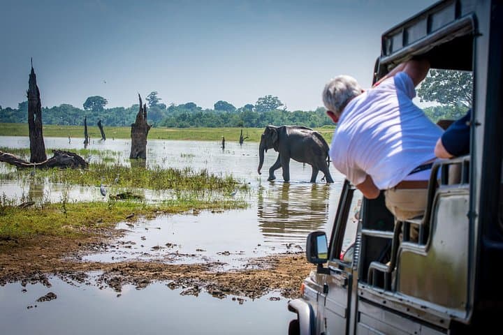 8-Day Sri Lanka Highlights: Luxury Hotels, Private Car & Wildlife Safaris photo 4