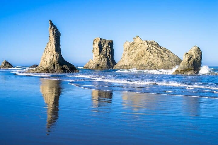 Pacific Northwest Coastal Road Trip: Washington to Oregon Private Tour
