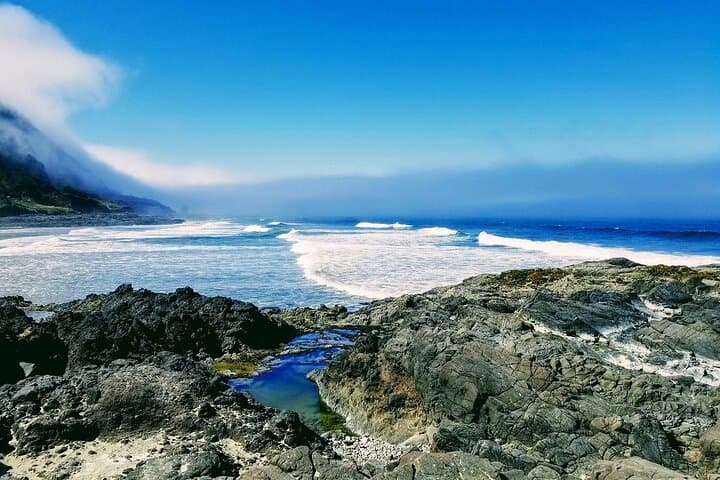 Pacific Northwest Coastal Road Trip: Washington to Oregon Private Tour photo 4