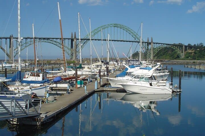 Pacific Northwest Coastal Road Trip: Washington to Oregon Private Tour photo 5
