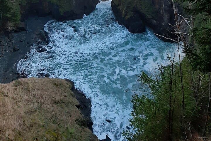 Pacific Northwest Coastal Road Trip: Washington to Oregon Private Tour photo 2