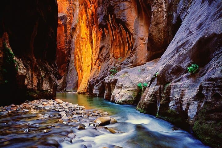 6-Night Yellowstone, Zion & Bryce Canyon Adventure with Lodging photo 6