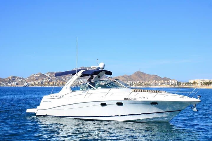 Private Yacht Charter in Cabo San Lucas — Snorkel El Arco, Hidden Beaches & Whale Watching photo 2