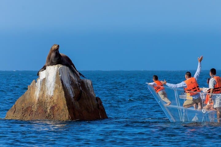 Transparent Boat Tour to Cabo San Lucas Arch — El Arco, Lovers Beach & Pelican Rock photo 2