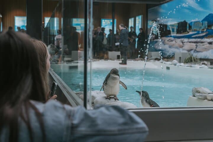 Franz Josef Wildlife Centre: Kiwi, Tuatara & Penguin Encounters